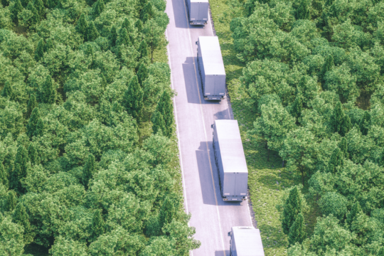 ltl trucking fleet driving down road between budding spring trees